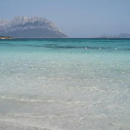 Domo De Mari * Murta Maria